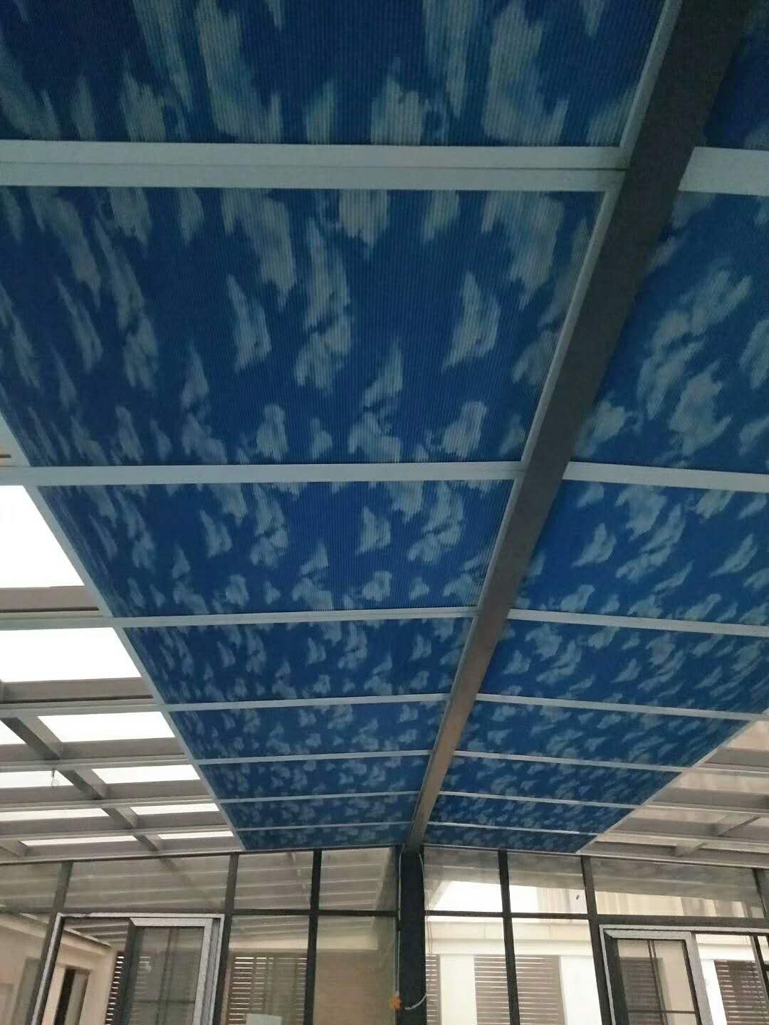 {Ʒ䳲